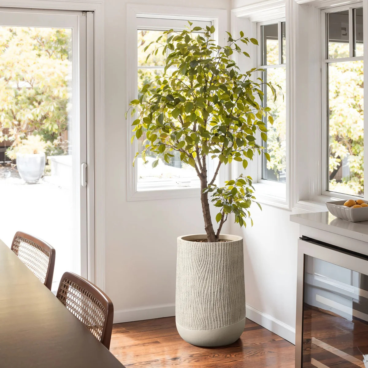 Magnesium Oxide Textured Wood-Look Planter | Wayfair North America