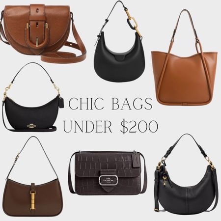 Chic bags under $200! These are perfect for an everyday bag for every outfit! 🫶🏼✨

#LTKstyletip #LTKitbag #LTKworkwear