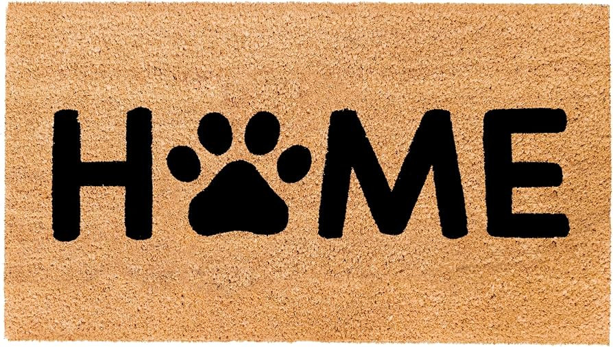 THEODORE MAGNUS Natural Coir Doormat with Non-Slip Backing - 17 x 30 - Outdoor/Indoor - Dog Door ... | Amazon (US)