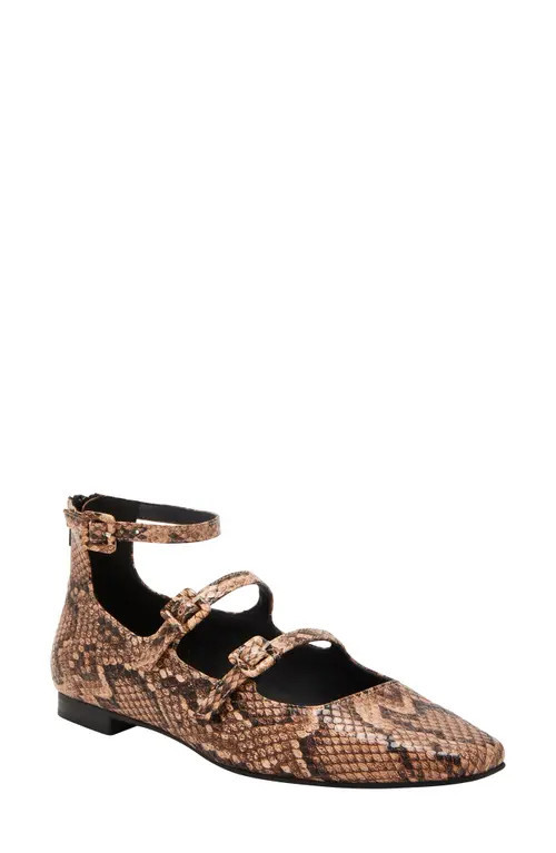 Katy Perry Confidant Snakeskin Print Mary Jane Flat in True Taupe Multi at Nordstrom, Size 6 | Nordstrom