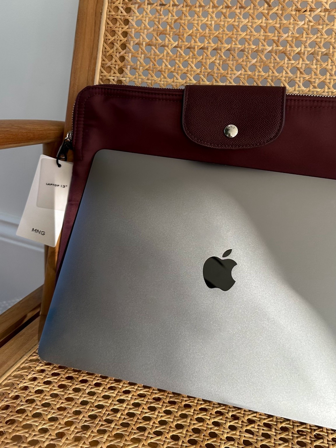 Autumnal Laptop Case 👩🏼‍💻🍂