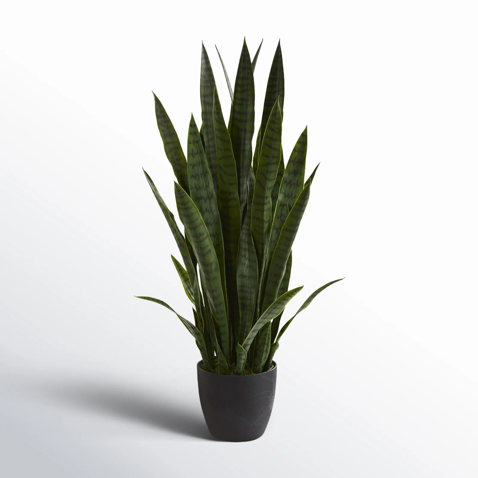 38'' Faux Snake Plant (Sansevieria) Succulent in Planter | Wayfair North America