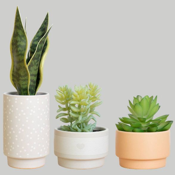 3pk Succulents/Greenery Potted Plant - Bullseye's Playground™ | Target