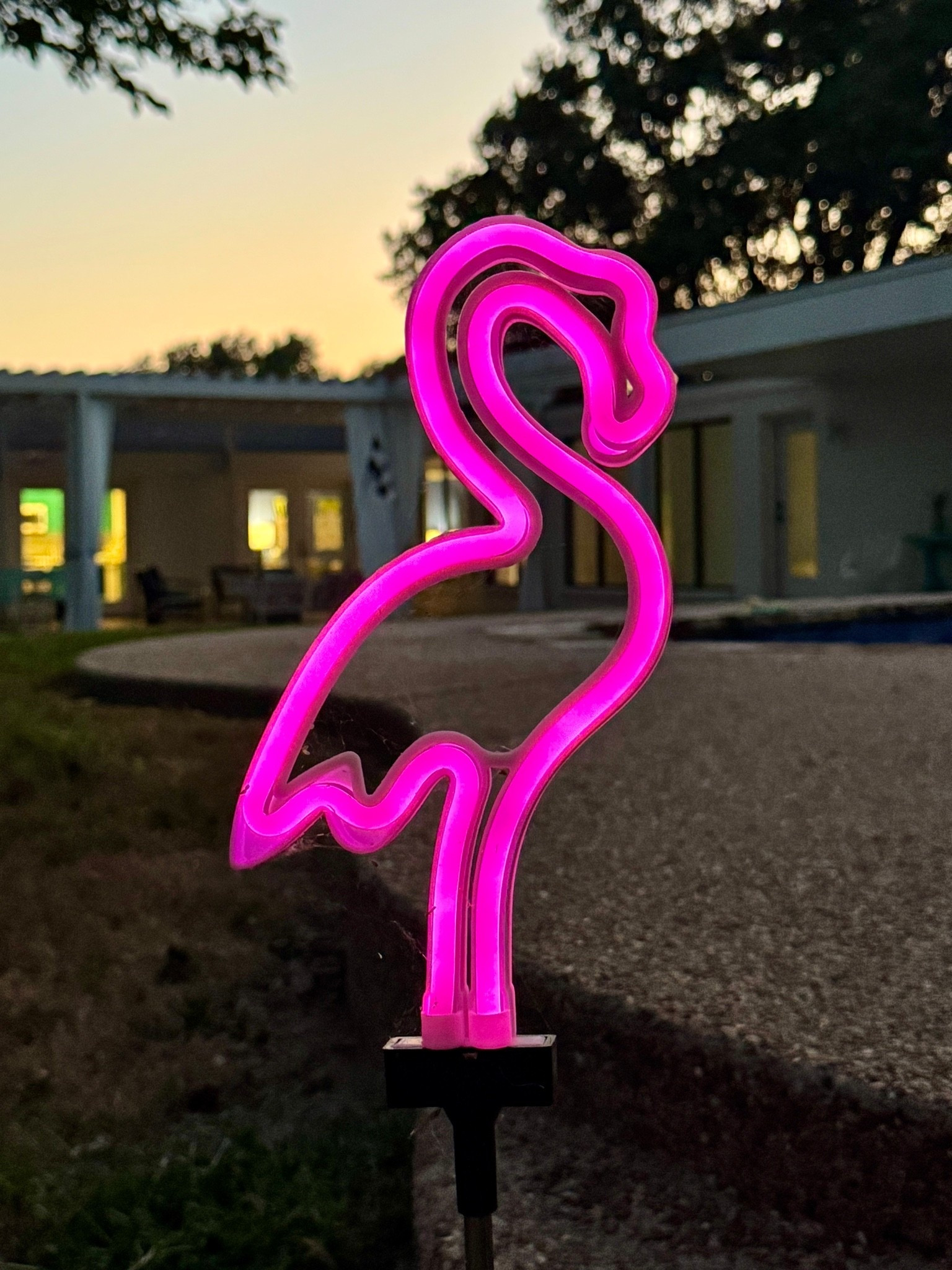 Solar powered outdoor neon light flamingo! 🦩 this glows so much brighter than I expected, it’s so cute!

#LTKHome #LTKSeasonal