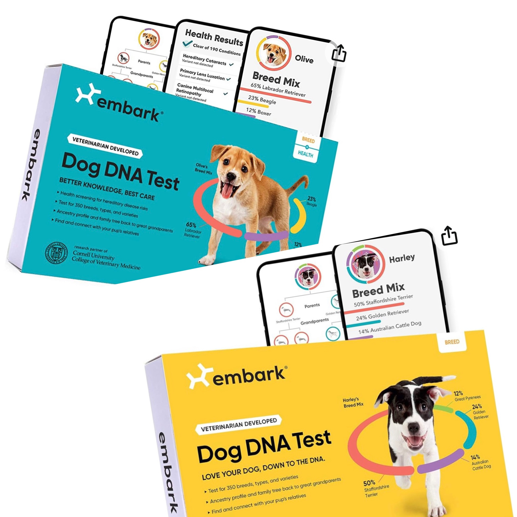 Embark DNA test or Embark DNA plus health test. DNA Test of the Westminster Kennel Club Dog Show - Discover Breed, Ancestry, Relatives, Genetic Health, Traits, 

#LTKfamily #LTKxPrime #LTKsalealert