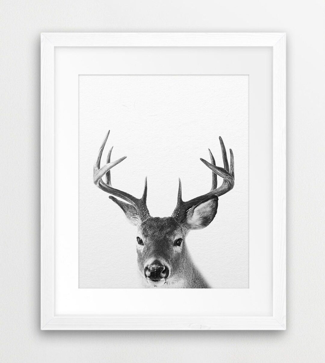 Deer Print, Deer Photography Black And White, Woodlands Animal, Antlers Print, Modern Wall Art, N... | Etsy (US)