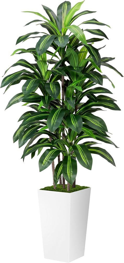 ASTIDY Artificial Plant 5FT Dracaena Fake Tree with White Tall Planter | Amazon (US)