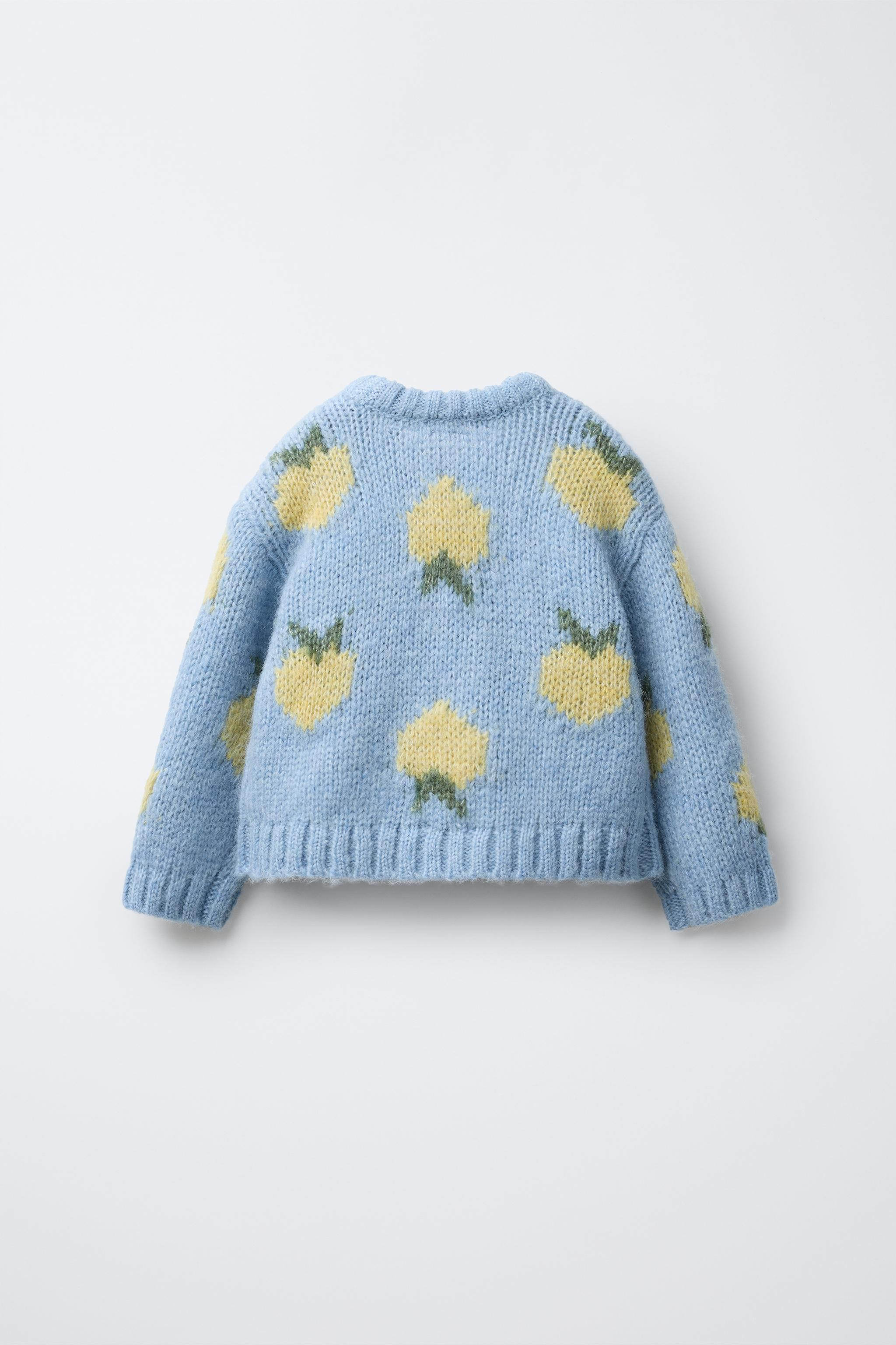 FRUIT PRINT KNIT JUMPER | Zara US