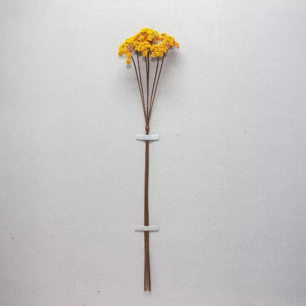 Sedum Stem Arrangement Yellow - Threshold™ | Target