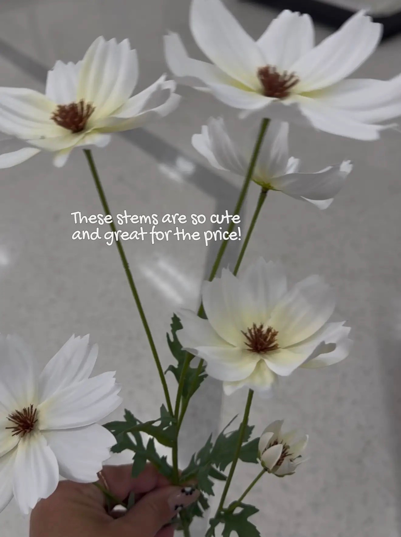 These stems are now under $4!!!

Flowers
Faux
Spring 
Summer 
Decor 

#LTKHome #LTKSaleAlert #LTKFindsUnder50