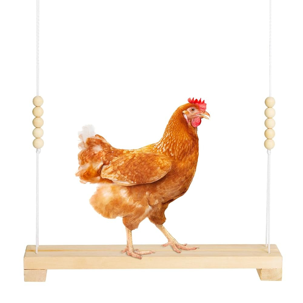 40cm Natural Wooden Chicken Swing Perch with Iron Monkey Decoration & Adjustable Rope - Safe Poul... | Amazon (US)