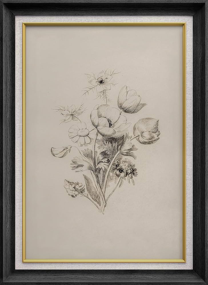 SIGNWIN Premium Frame Art Botanical Sketch of Flowers Vintage Floral Illustrations Fine Art Tradi... | Amazon (US)
