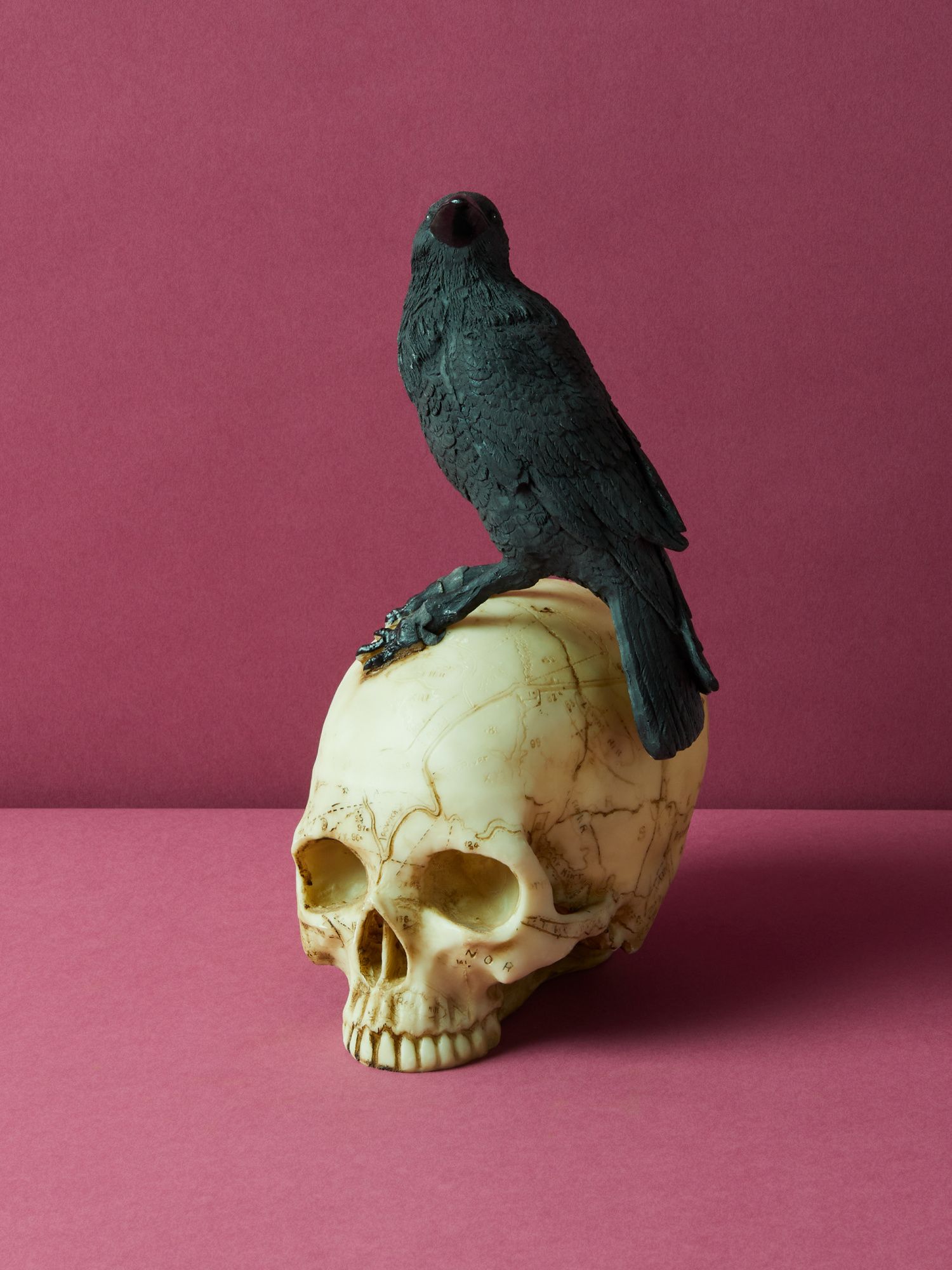 10in Crow On Skull Decor | Seasonal Decor | HomeGoods | HomeGoods