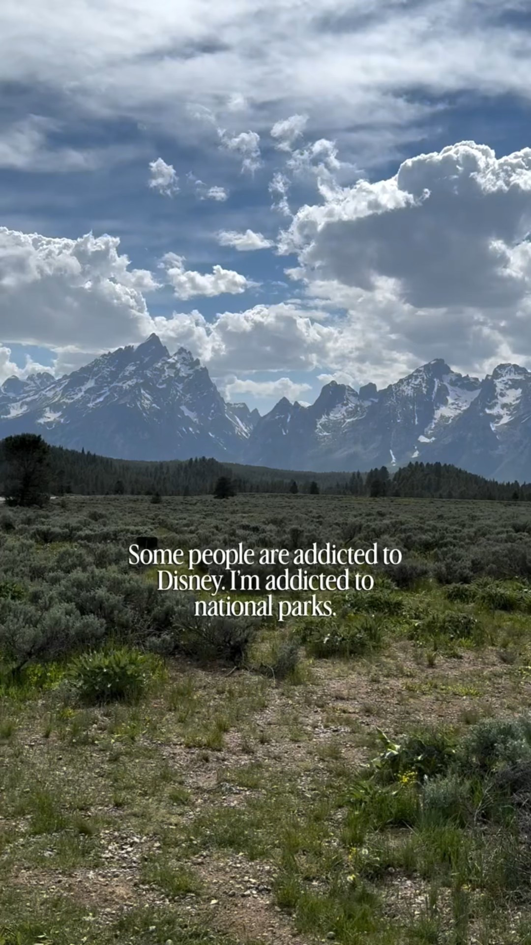 Know someone who loves the national parks as much as I do? Here are some of my favorite things! 

#nationalparks #travel

#LTKActive #LTKGiftGuide #LTKTravel