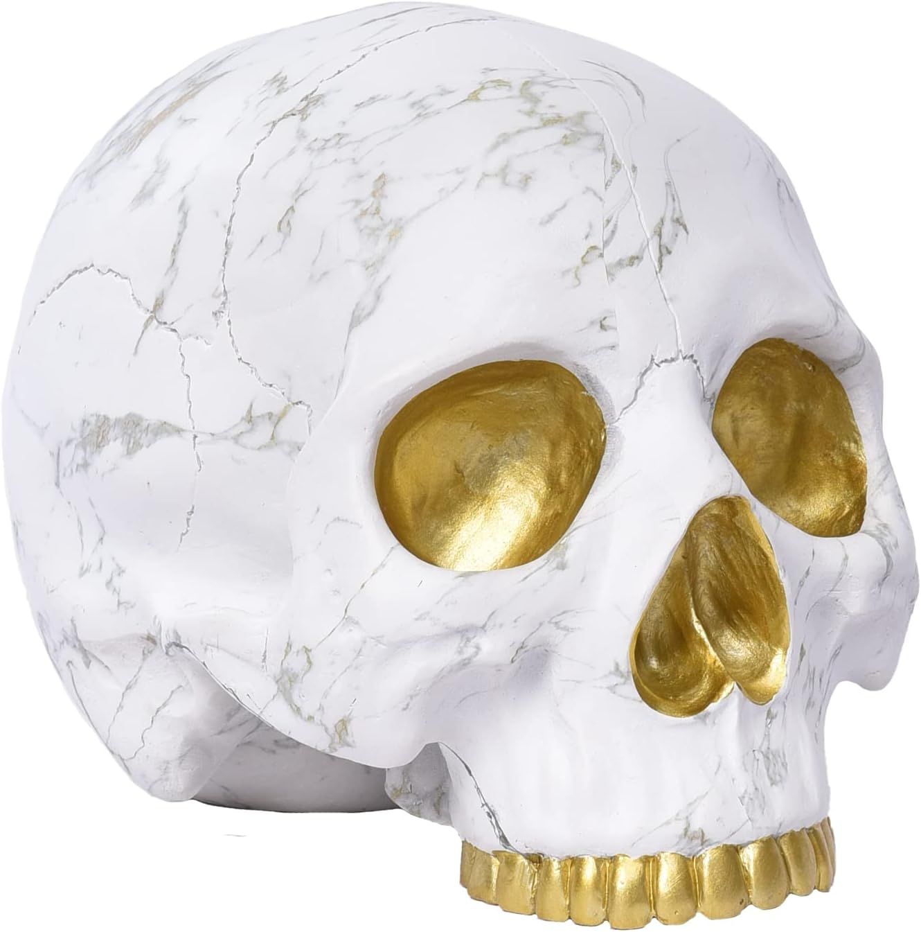 Saysmile Skull Halloween Decorations, Realistic Skeleton Head Skull Decor for Halloween Home Deco... | Amazon (US)
