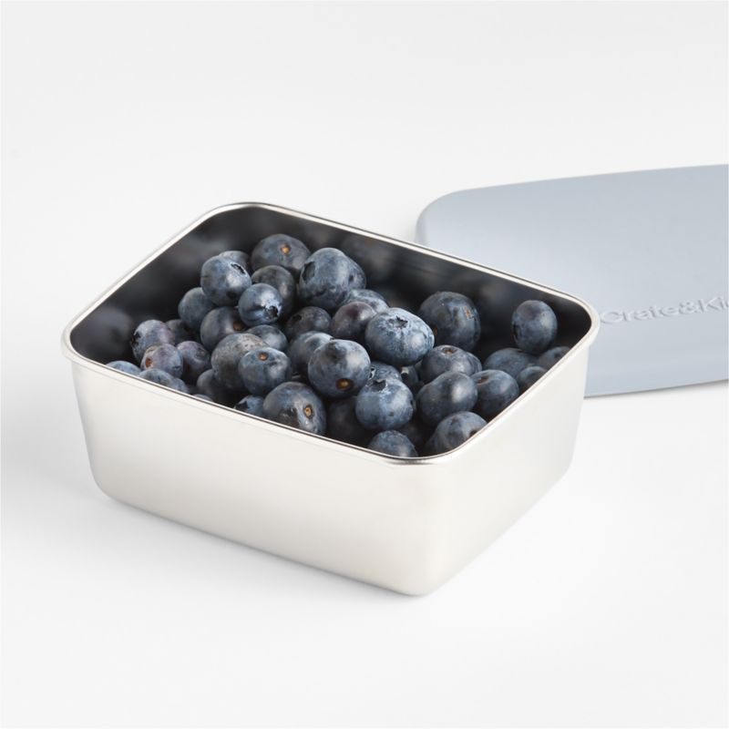 Blue Stainless Steel Small Food Container + Reviews | Crate & Kids | Crate & Barrel