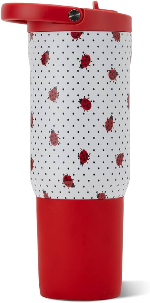 HydroJug Sport 20 oz Insulated Stainless Steel Water Bottle, Ladybug | Amazon (US)