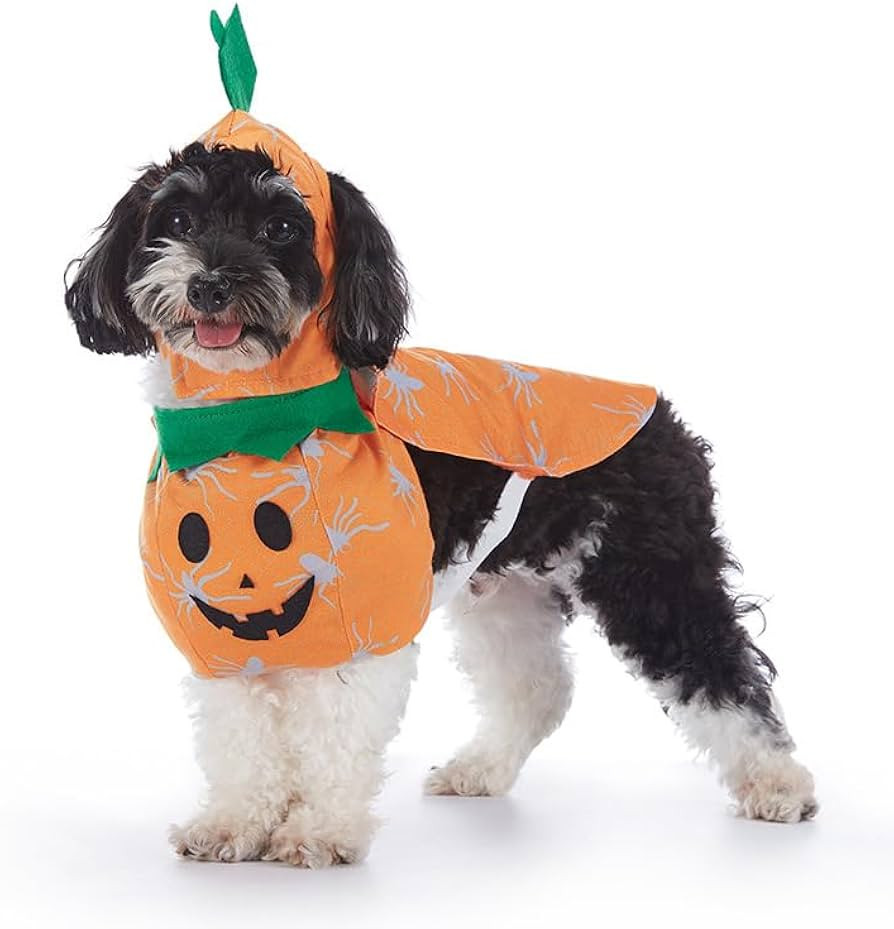 AZA Dog Halloween Costume Cotton Pumpkin Cosplay Clothes Bat for Pets Shirt Pet Boy Coat for Smal... | Amazon (US)