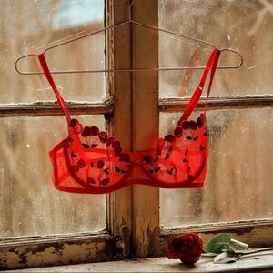 For Love & Lemons Cerise Cherry Bra 🍒 | Poshmark