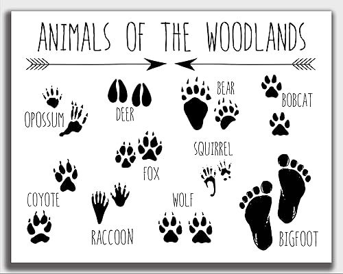 Animals of the Woodland Bigfoot Print, 11 x 14 UNFRAMED Funny Wall Art, Sasquatch Monster, Nurser... | Amazon (US)