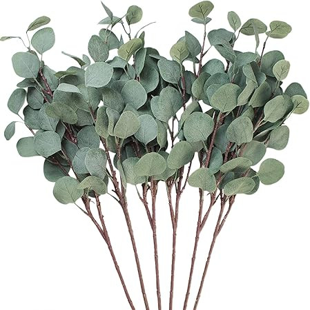 Seanmi Artificial Eucalyptus Leaves, 6 Pcs Faux Dried Silver Dollar Eucalyptus Garland Branches S... | Amazon (US)