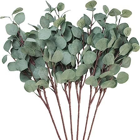 Seanmi Artificial Eucalyptus Leaves, 6 Pcs Faux Dried Silver Dollar Eucalyptus Garland Branches S... | Amazon (US)