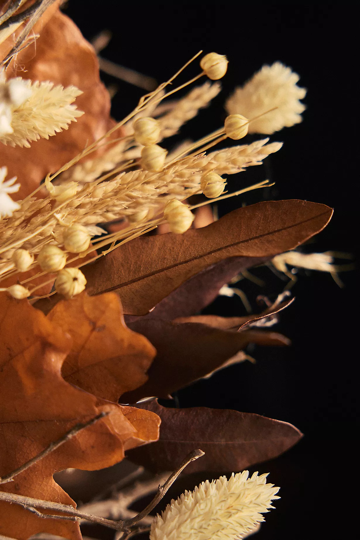 Preserved Maple + Ammobium Wreath | Anthropologie (US)