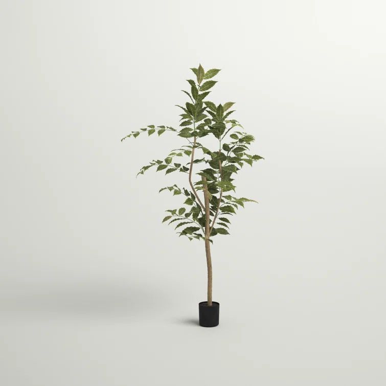 Faux Foliage Tree in Pot | Wayfair North America