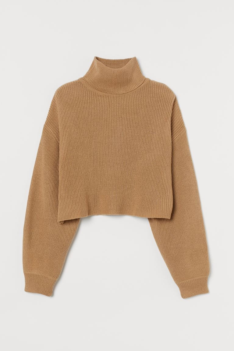 Cropped Turtleneck Sweater | H&M (US + CA)