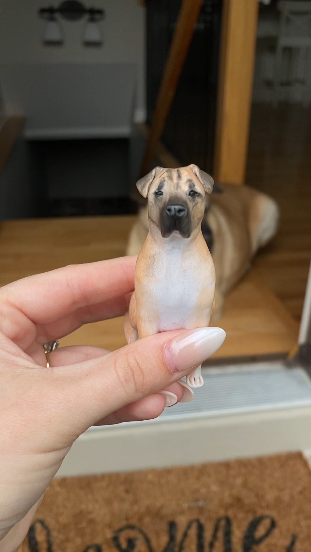 The cutest small detail for a wedding! A mini version of your pet to add to your cutting/wedding cake. Or it could make a cute ornament for the holidays! 

#LTKFindsUnder50 #LTKSeasonal #LTKWedding