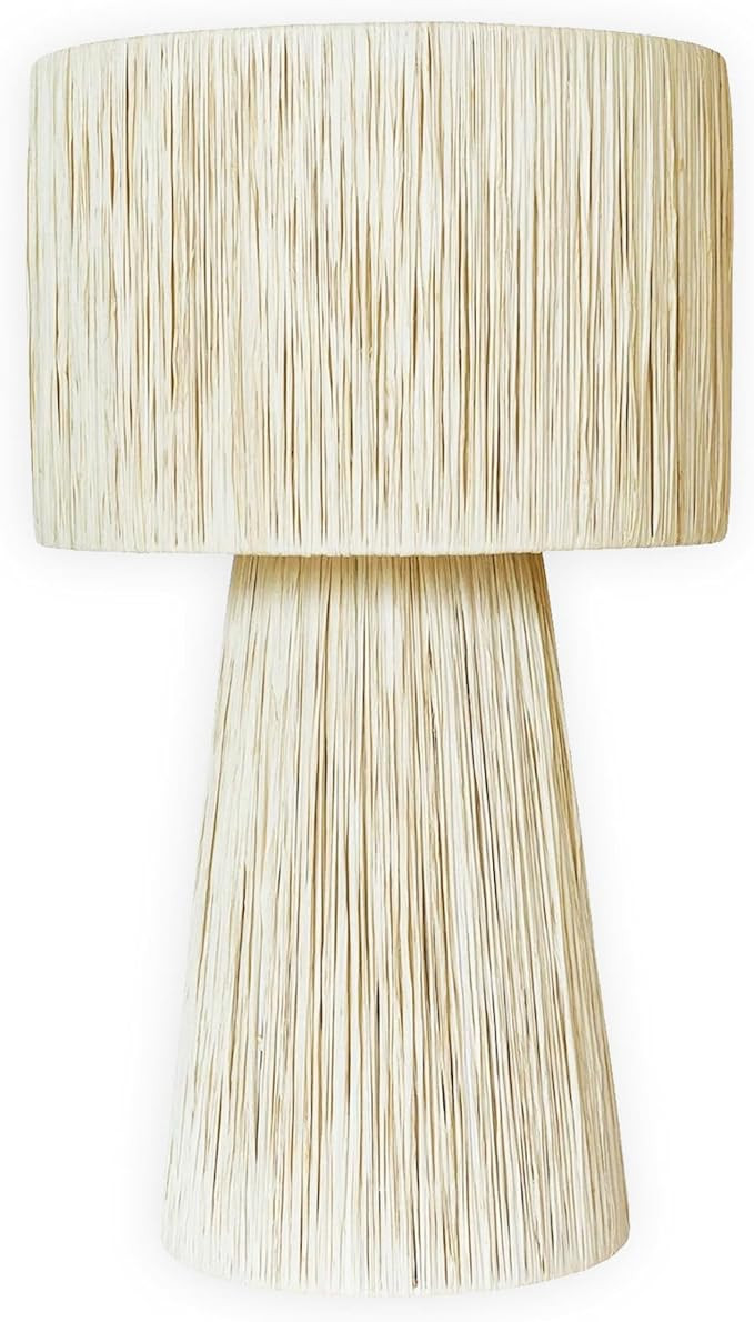 Natural Raffia Lamp - Coastal Beach Style Home Decor - Eco-Friendly Rattan Lighting Fixture | Amazon (US)