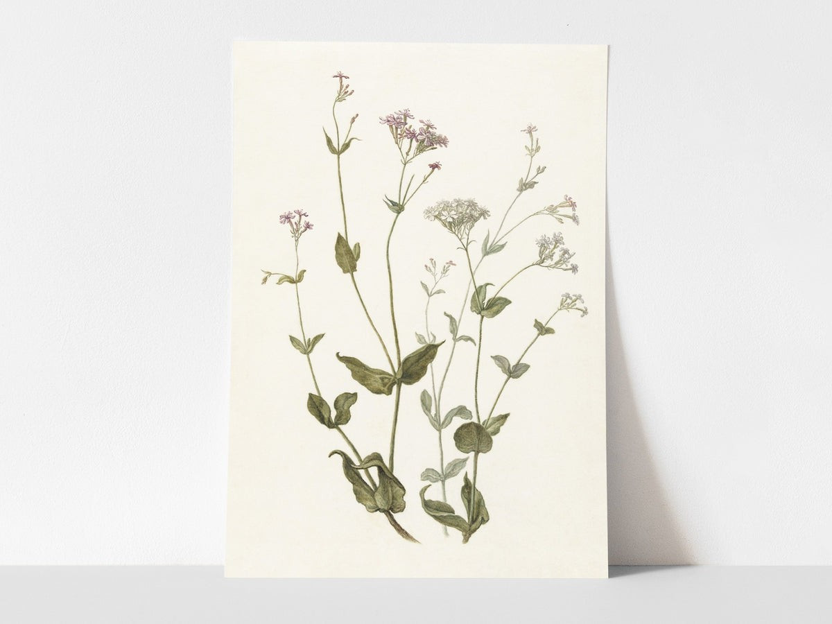 Whimsy | Heirloom Print Shop