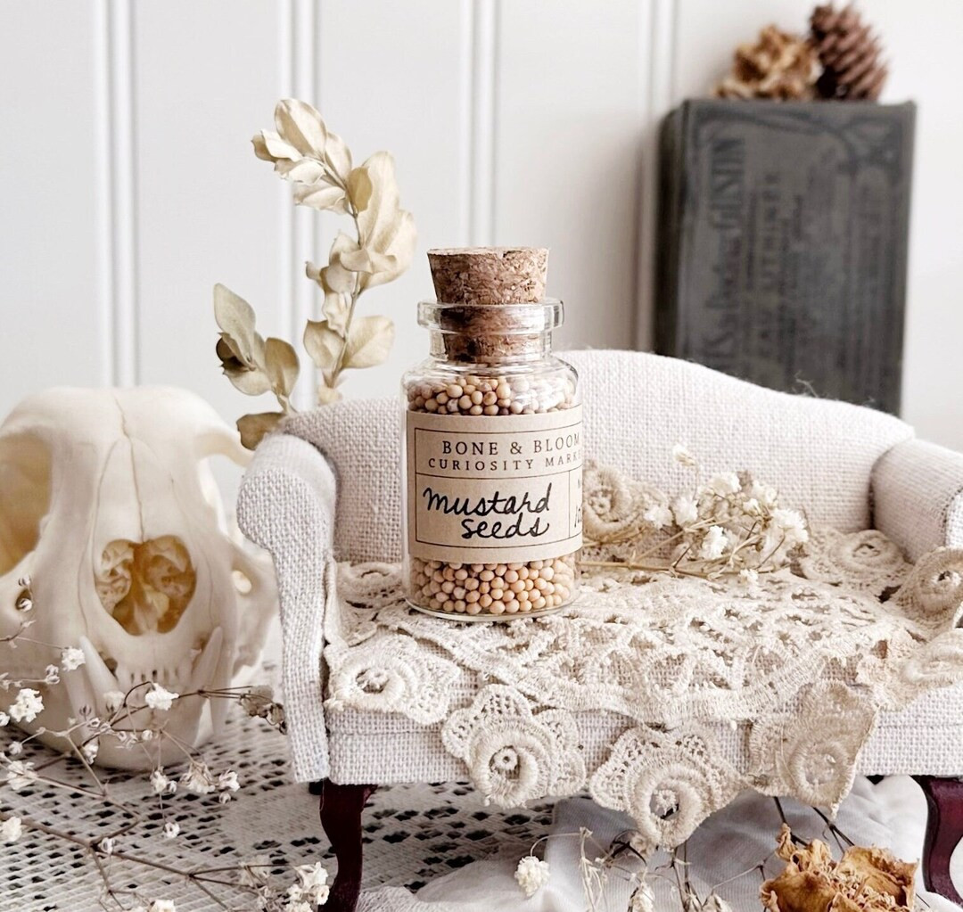 Yellow Mustard Seeds in Glass Vial No. 102, Dried Herbs, Dried Botanicals, Natural History, Curio... | Etsy (US)