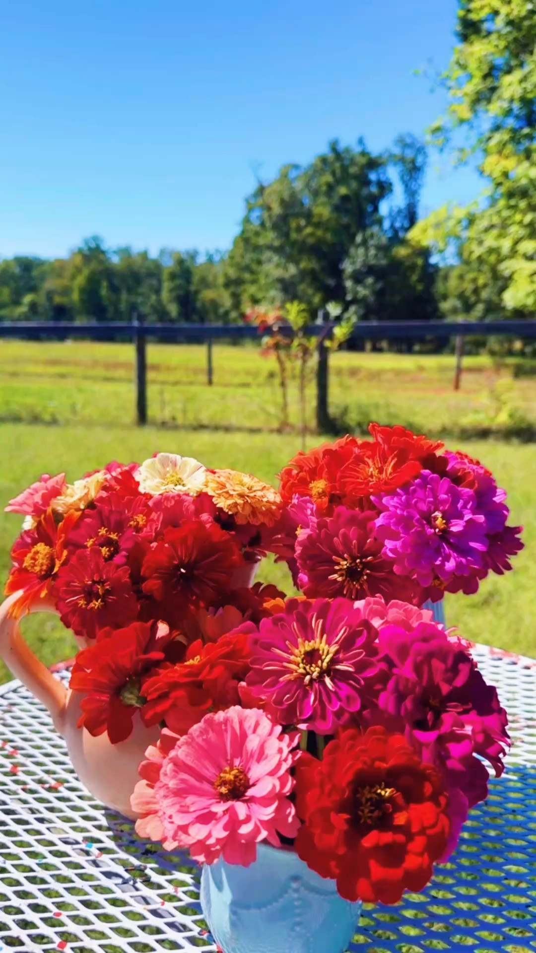 come along with me to pick some homegrown flowers from our farm garden !!! 💐🪴🫙🫶🏽✨