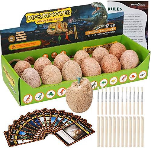 Dino Egg Dig Kit-12 Dinosaur Eggs Dino Egg Excavation Kit for Dinosaur Birthday Theme Party Scien... | Amazon (US)