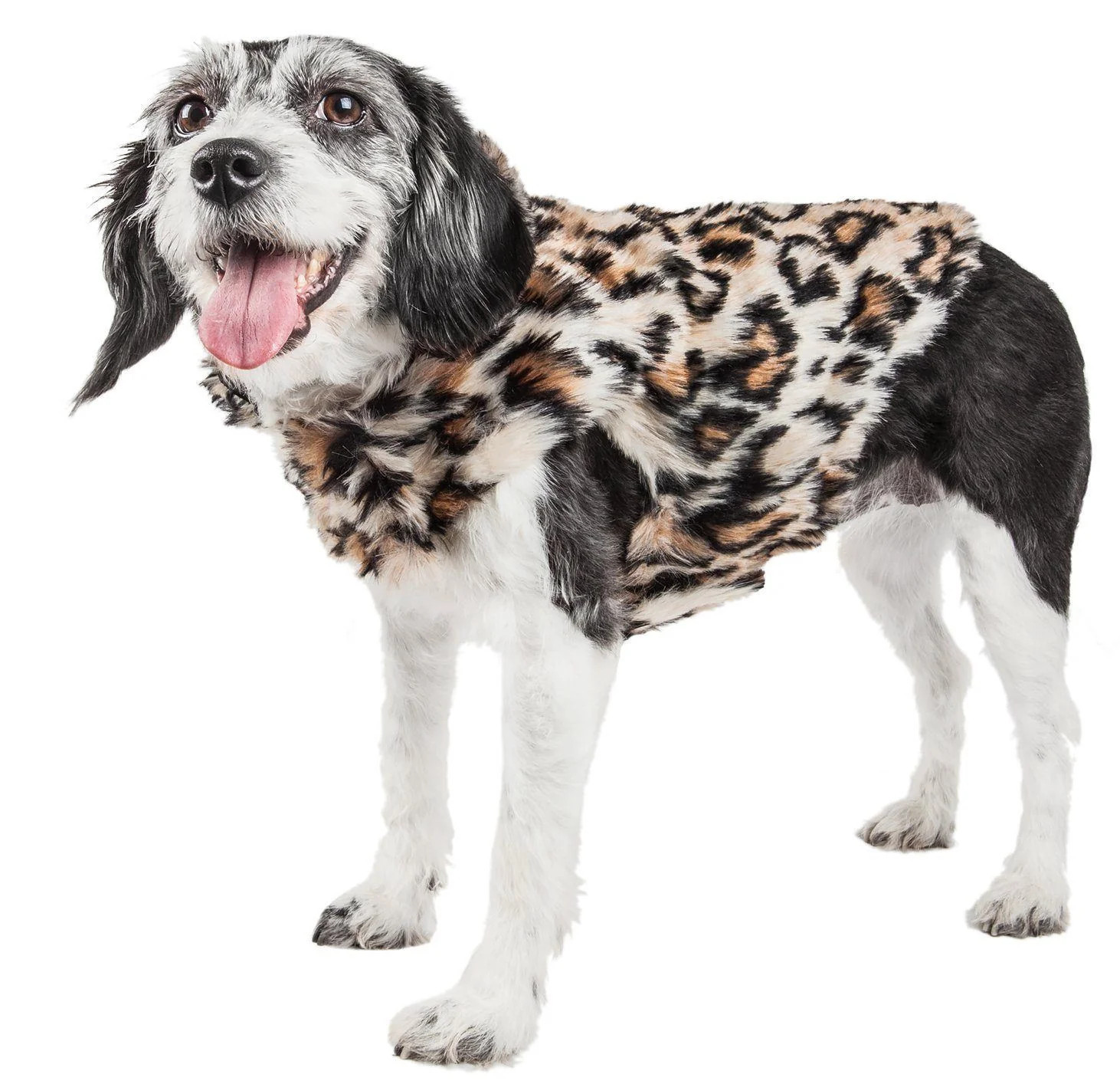 Pet Life Luxe 'Lab-Pard' Dazzling Leopard Patterned Mink Fur Dog Coat | Shop Simon