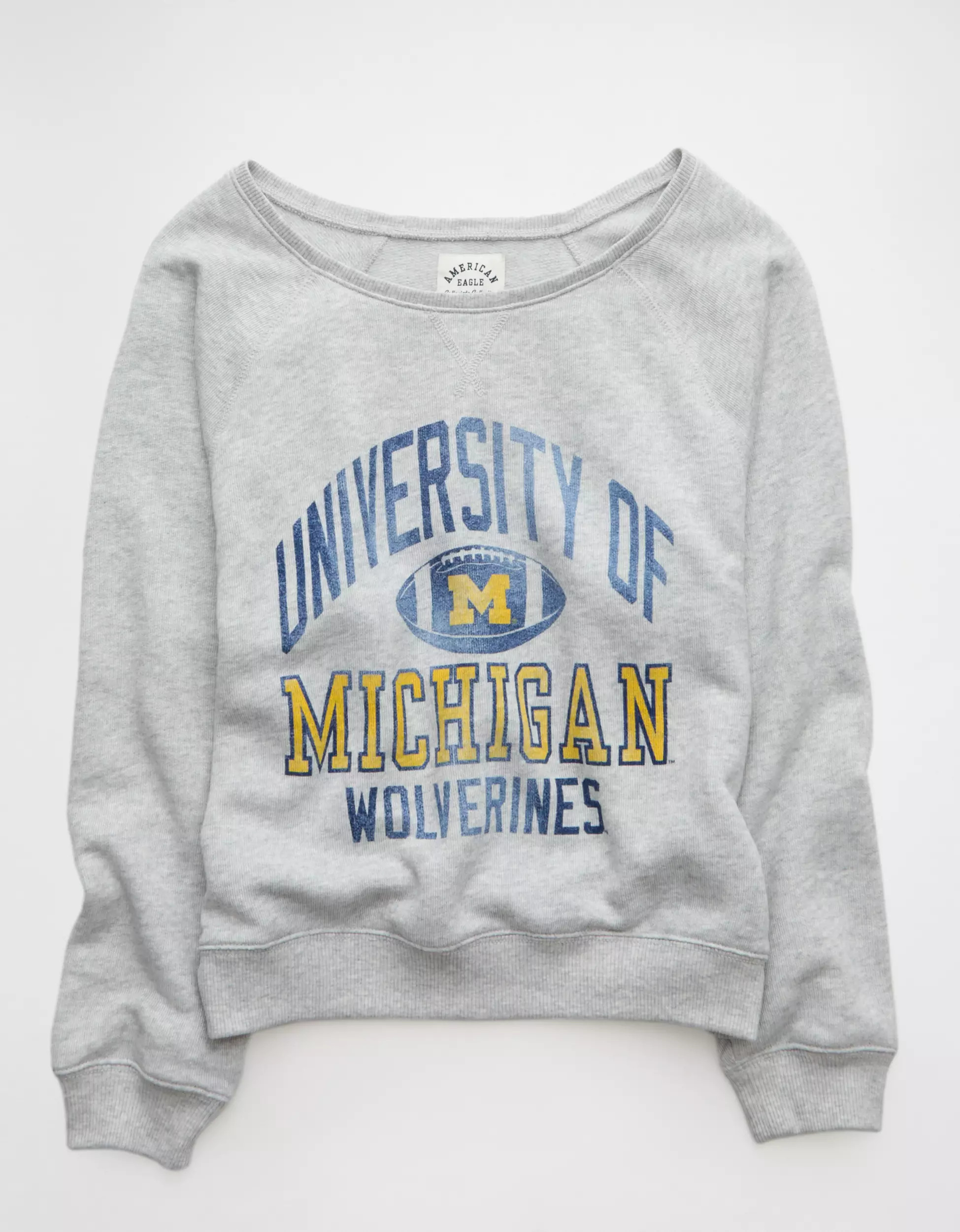 AE Michigan Wolverines Graphic Off The Shoulder Sweatshirt | American Eagle Outfitters (US & CA)