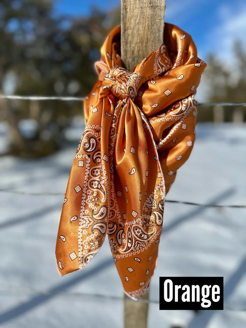 Bandana Print Silky Charmeuse Wild Rag // Wild Rags for Women, Cowboy Gift, Cowgirl Scarf, Wester... | Etsy (Global)