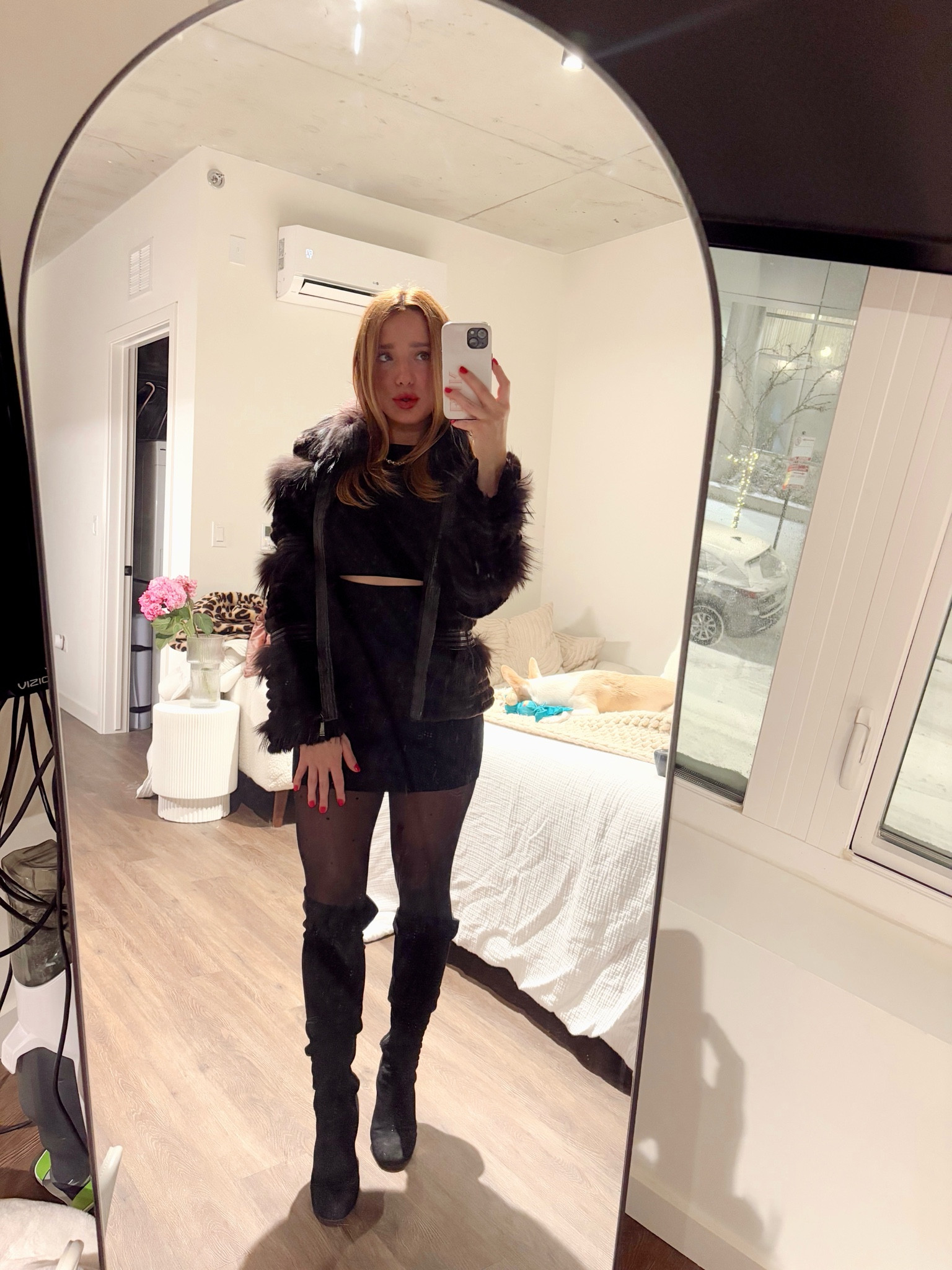 Valentines winter night out in Chicago! Aritzia dress and fur jacket! 

#LTKSeasonal #LTKGiftGuide #LTKPetite