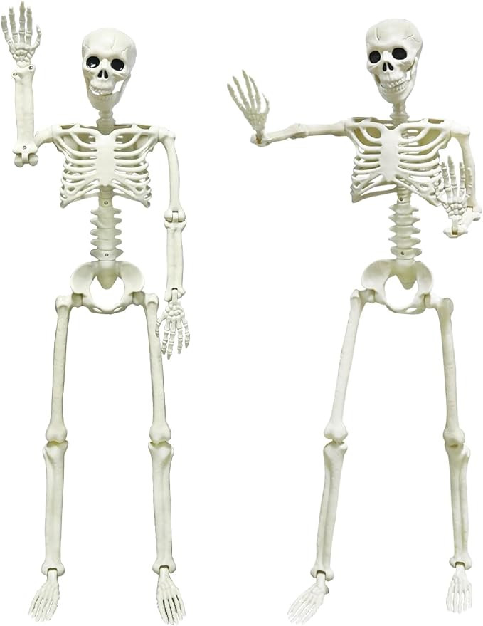 CAMIRUS 2PACK 36" Skeleton Halloween Decorations, 3ft Life Full Size Skeleton with Realistic Posa... | Amazon (US)