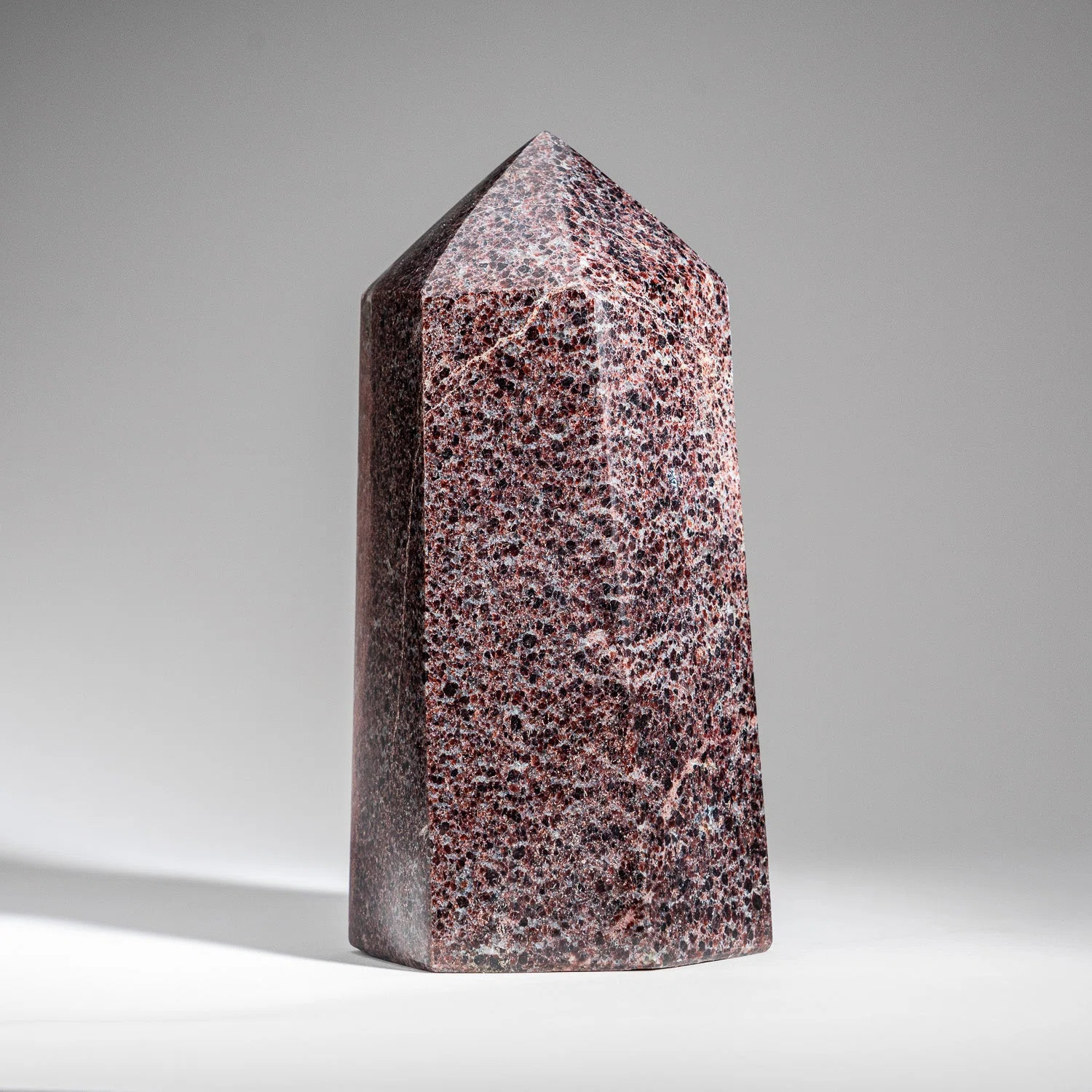 Astro Gallery of Gems Genuine Polished Garnet Point (8 lbs) | Wayfair | Wayfair North America