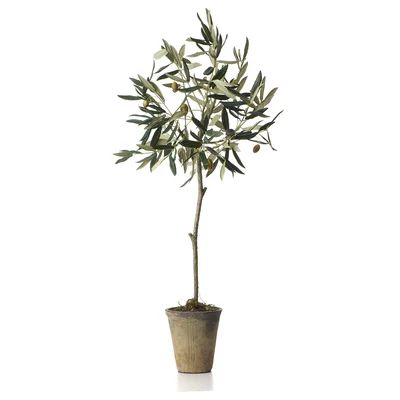 Sage & Co. Potted Olive Tree in Pot | Wayfair North America