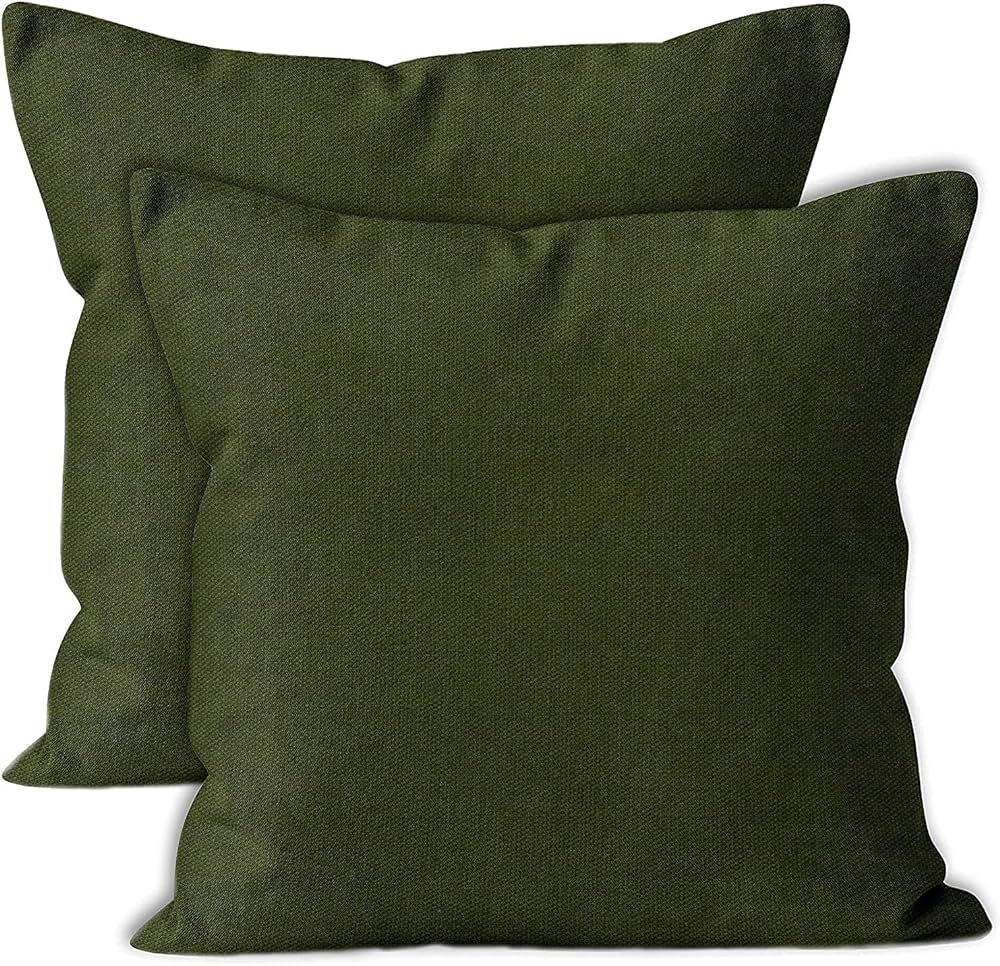Cotton Canvas Throw Pillow Covers by Encasa Pack of 2 Leaf Green 20"x20" No Insert with Hidden Zi... | Amazon (US)