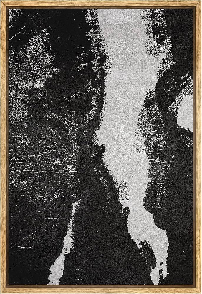 SIGNWIN Framed Canvas Wall Art Ink Blotch Abstract Brushstroke Illustrations Modern Art Minimalis... | Amazon (US)