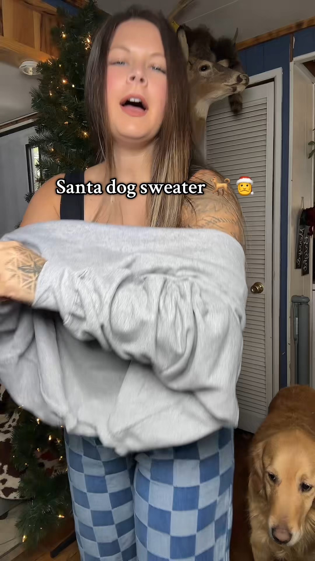 Santa’s paws Christmas sweater 

#LTKGiftGuide