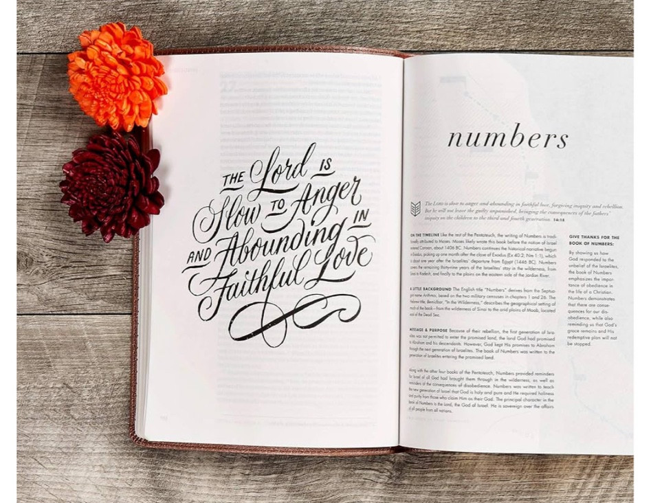 #LTKGiftGuide #LTKCyberWeek #LTKFindsUnder100