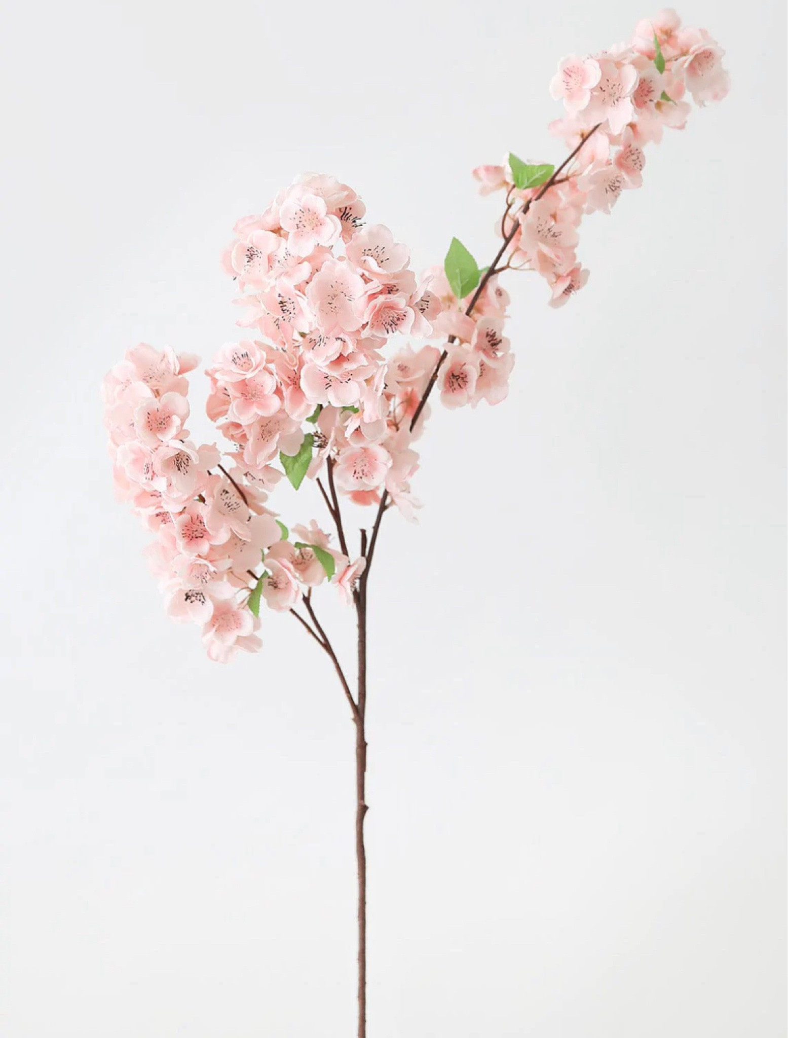 Pink Cherry Blossom Stems

#LTKunder50 #LTKhome #LTKunder100
