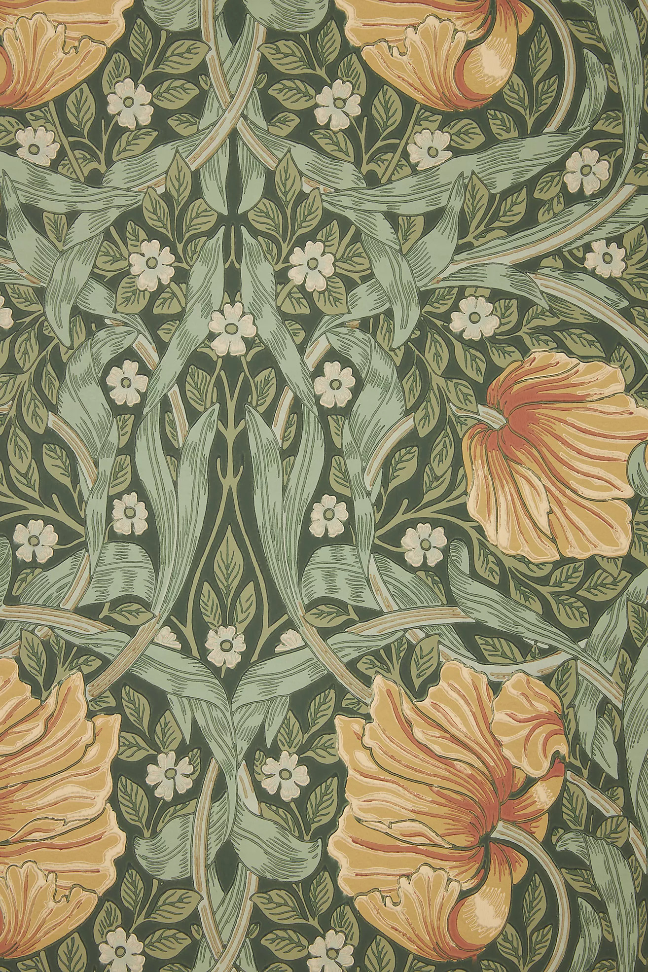 Morris & Co. Pimpernel Floral Wallpaper | Anthropologie (US)