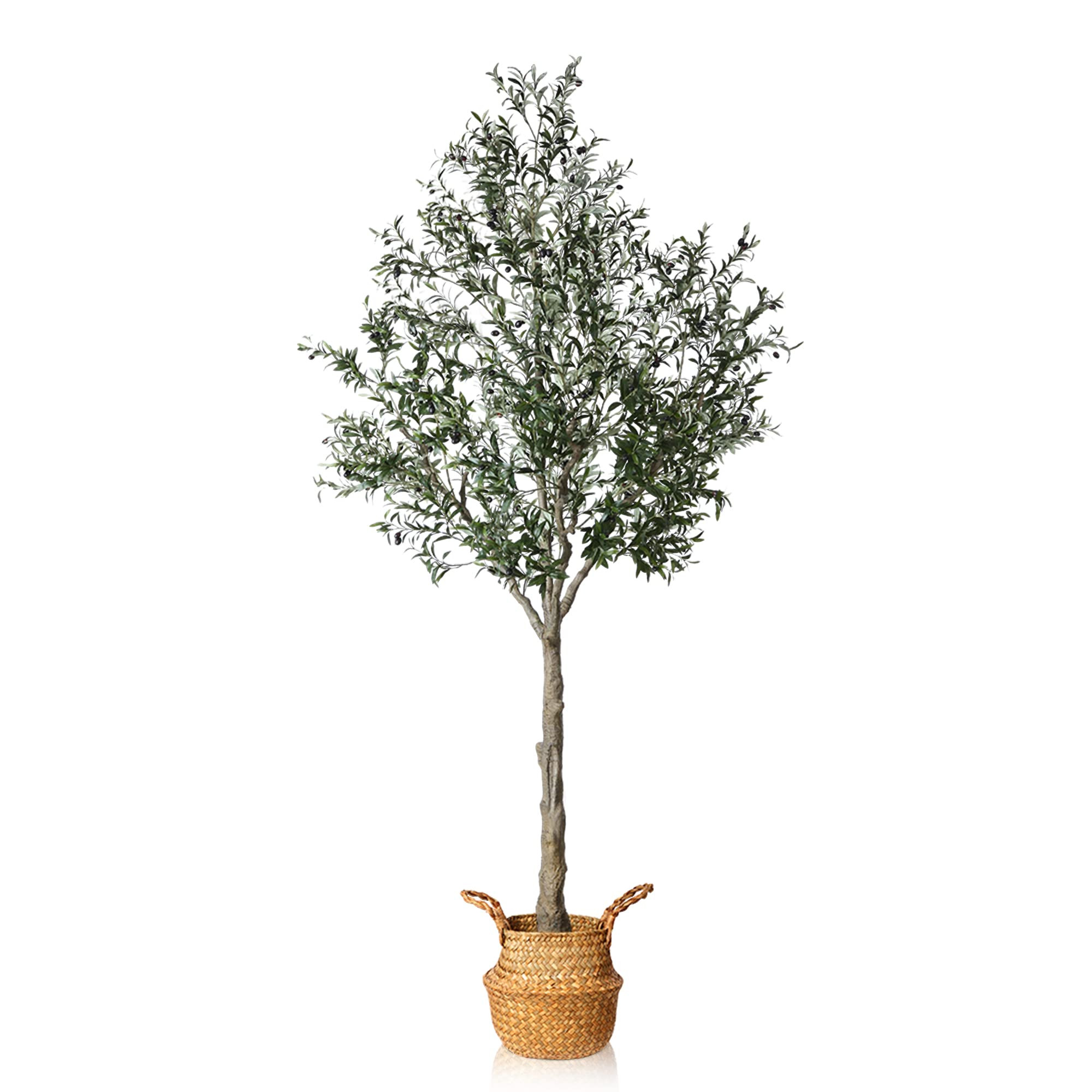 MOSADE Artificial Olive Tree 10 Feet Fake Olive Plant and Handmade Seagrass Basket, Perfect Tall ... | Amazon (US)