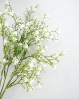 White Meadow Bloom | Elements by Remedy